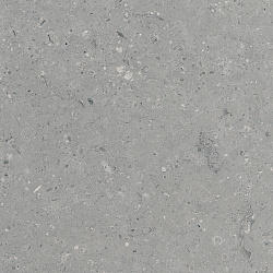 G213-ArkaimGrey МR